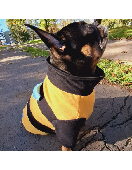 Sweter Pszczoła