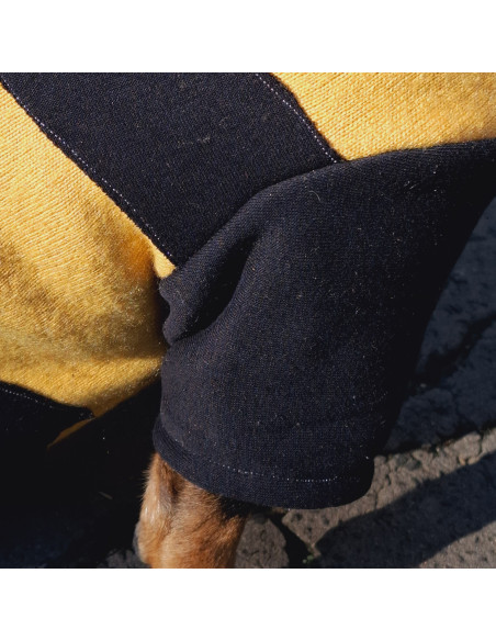 Sweter Pszczoła