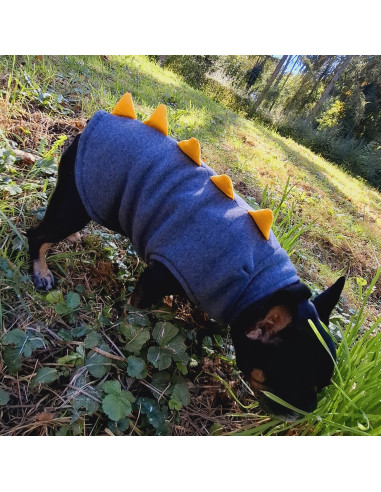Bluza Dino