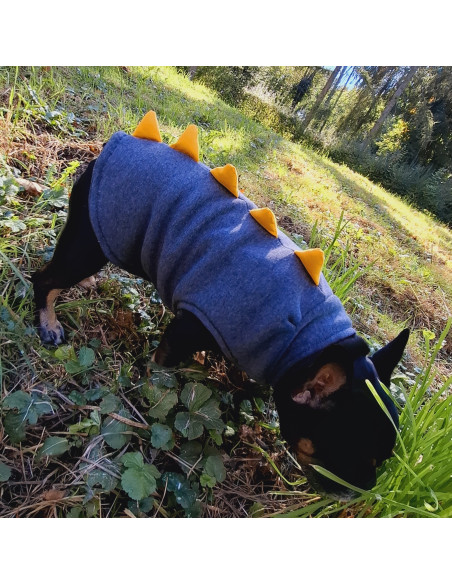Bluza Dino